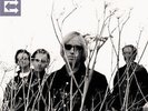 Tom Petty And The Heartbreakers ?- Echo 2 x LP Remastered ETCHED - SEALED new