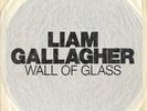 Liam Gallagher Vinyl Wall Of Glass Limited SOLD OUT