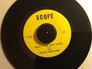 The Plastic Menagerie  Hold your baby close b/w Tryin' to come back  Listen