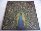 THE BLUETONES   EXPECTING TO FLY ** 1995 PARADOX LP w/ BOOKLET & PVC OUTER