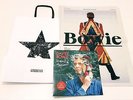 David Bowie I'm Afraid Of Americans / Heroes 