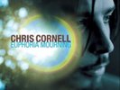 Chris Cornell-Euphoria Mourning  Vinyl / 12