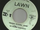 GARAGE SURF ROCKER--ORIGINAL SOUNDTRACKS-  FOOBA WOOBA JOHN  -HEAR -1964 LAWN