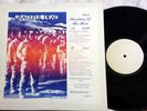 Rare LP Grateful Dead - Mountains of the Moon - BIG BANG YLEM 1 NM Not TMOQ