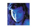 LP: Björk - Telegram - One Little Indian - TPLP51T