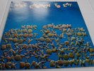 NICE ENOUGH TO EAT KING CRIMSON SPOOKY TOOTH JETHRO TULL HEAVY JELLY PINK ISLAND