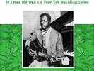 Blind Willie Johnson- If I Had My Way, I'd Tear The Building Down VINYL LP JD111