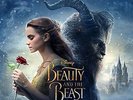 BEAUTY & THE BEAST: THE SONGS / VARIOUS NEW VINYL