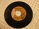 CAROL VEGA  ONE LITTLE THING/A LITTLE WHITE LIE  ARGO 5490