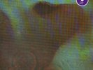 Pink Floyd ?– Meddle (Rotes Vinyl, 1971) Ltd., Rar