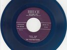 MASTER-TONES - Bruce 111 (postal zone) - Tell Me - blue wax - DOO-WOP VG+ (2nd)