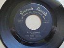 The Blue Jeans, D. J. Theme / Moon Mist, Very Rare Rock Exotica Instrumental NM-