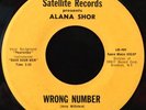 Alana Shor -Wrong Number- Garage Psych 45 on Satellite - Hear