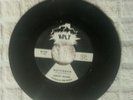 Dorothy Williams  Watchdog  Volt Northern Soul Promo  Near Mint
