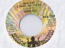 CHUCK RAY Baby Please Don't Go 45 RECORD RARE NORTHERN SOUL