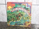 GRUPO AGUA TRANSPARENCIA BRAZIL PSYCH POKORA Excell  LP