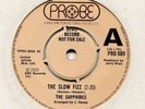 The Sapphires   **  The Slow Fizz  **  U K  PROBE DEMO  **  1973  **