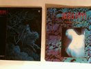 Skinny Puppy Mind The Perpetual Intercourse Vinyl BOTH LP & EP Stairs & Flowers