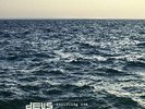 dEUS / Following Sea - Vinyl LP 180g + Download