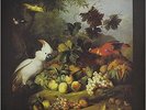 Exotic Birds & Fruit [VINYL] Procol Harum Vinyl