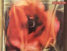 LOVE AND MONEY ?- Dogs In The Traffic (LP) (VG/G-VG)