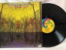 American Blues Do Their Thing LP UNI 1968 Rock Blues