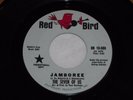 THE SEVEN OF US-Jamboree (1966) DJ/Promo RED BIRD 45