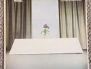 Wire - Chairs Missing 1978 Vinyl Harvest Records SHSP 4093- EMI UK 1st Pressing