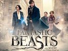 James Newton Howard - Fantastic Beasts And wh.To Find Them Col.2LP NEU 09536929