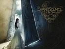 EVANESCENCE - THE OPEN DOOR (VINYL)  2 VINYL LP NEW+