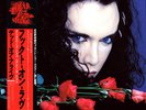 DEAD OR ALIVE/Pete Burns JAPANESE 12