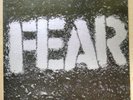 FEAR The Record LP Original Slash Punk KBD Hardcore Lee Ving