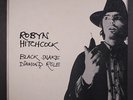 ROBYN HITCHCOCK: Black Snake Diamond Role LP (UK, inner sleeve, few faint foxin