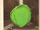 The Meters Cabbage Alley Reprise Records Vinyl LP