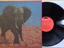 FOOD BRAIN Japan ORIG Press Heavy Psych Prog Pokora SHINKI CHEN Hiro Yanagida EX