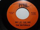 The Naturals-(7