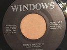 THE WINDOWS   DONT HANG UP   Rare Orig. Private TN Garage / Power Pop 45
