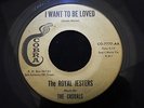 Listen  Rare Doo Wop 45 The Royal Jesters/The Casuals- I Want To Be Loved COBRA