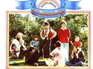 THE BEACH BOYS - SUNFLOWER (LIMITED EDITION) - VINYL LP - NEW