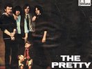 THE PRETTY THINGS * Don´t Bring Me Down * German Beat Garage Single