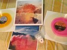 SILVERSUN PICKUPS Better Nature LP Signed Colored Vinyl Rare Record Nightlight
