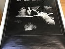 Genuine 1980 Factory Promo Poster for Joy Division 'Love Will Tear Us Apart'