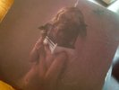 The Dear Hunter Migrant Vinyl