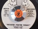 RARE funk   FUNKA FIZE   Because You're Funky   ROYCE