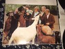 Beach Boys, Pet Sounds  2LP EX TO NM WAX SO Tough Carl & The Passions 1974