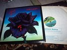 THIN LIZZY - BLACK ROSE - UK ROCK LP 1979 VERTIGO 1st PRESS EX+