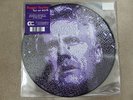 ROGER TAYLOR / QUEEN - FUN ON EARTH - RSD 2017 2014 - PICTURE DISC 2 LP NEW
