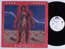 JAMES BROWN Bodyheat POLYDOR LP NM wlp