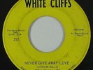 Northern Soul Mod 45 - Ron Phillips - Never Give Away Love - White Cliffs - mp3