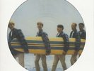 The Beach Boys - Surfer Girl (Picture-LP, 180g Vinyl) - Vinyl Rock & Roll